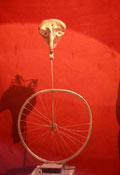 `Перевернутый` велосипед
Арт объекты ( металл, кожа, масло )
